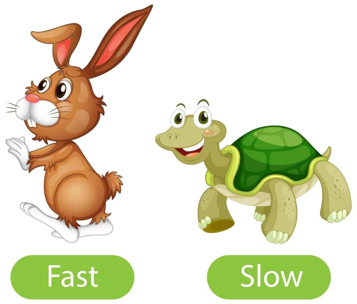 Opposite adjective words with fast and slow 1542555 Vector Art at Vecteezy